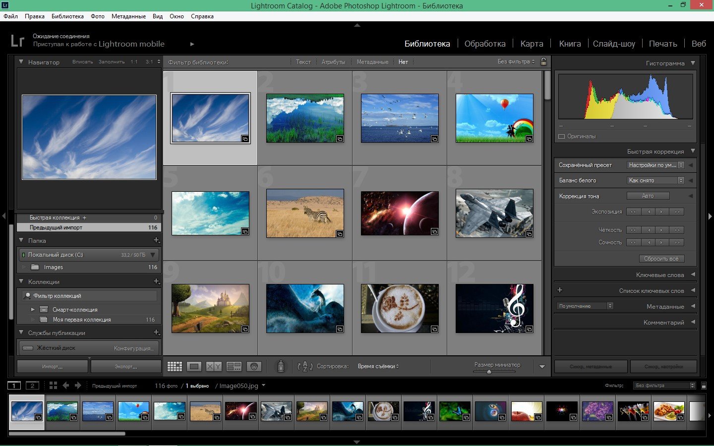 Adobe photoshop lightroom программы для организации изображений